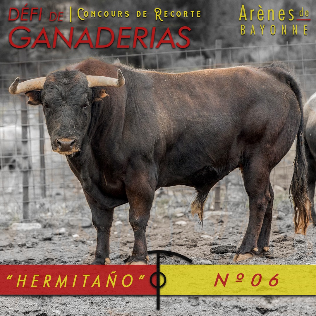 HERMITAÑO – Num. 06 – GANADERIA ORIVE